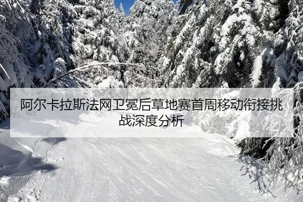 a-er-ka-la-si-fa-wang-wei-mian-hou-cao-di-sai-shou-zhou-yi-dong-xian-jie-tiao-zhan-shen-du-fen-xi-1-609.jpg